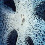 1540534558_MICHELI_Vision_Cencept__3_