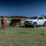 D535563-The-new-Mercedes-Benz-GLE-San-Antonio-2018