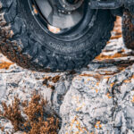 _MG_4221