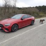YENİ E 300 Coupé FL Edition 1 AMG (329)