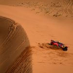 Sébastien Loeb and Fabian Lurquin
