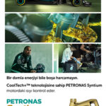 Synitum_F1 banner 300×600