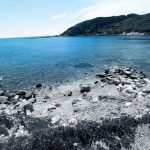 2024_volvoxc60_recharge_awd_test (113)