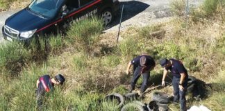 Abbandona 41 pneumatici in un bosco nell'Anconetano, denunciato