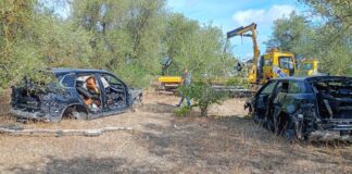 Auto rubate e cannibalizzate ritrovate in campagne del Foggiano
