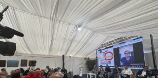 Calenda, bene passaggio all'ibrido ma farlo con intelligenza