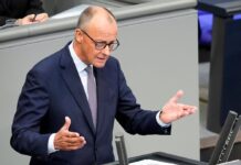 Friedrich-Merz