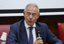Urso, 'settore auto al collasso, da Ue serve realismo'