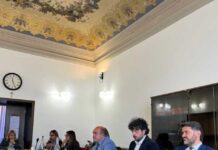 Audizione su 'esenzione del superbollo per auto ibride'