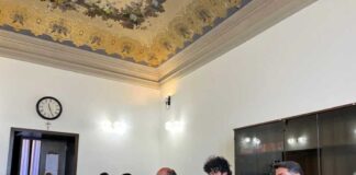 Audizione su 'esenzione del superbollo per auto ibride'