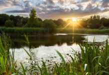 Celebrating nature: wildlife at the Home of Rolls-Royce