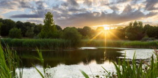 Celebrating nature: wildlife at the Home of Rolls-Royce
