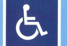 La Spezia, 500 multe per sosta negli stalli disabili in 10 mesi