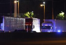 A Ny ricompense stellari per i ‘cacciatori di camion inquinanti’ A Ny ricompense stellari per i 'cacciatori di camion inquinanti'