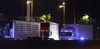 A Ny ricompense stellari per i 'cacciatori di camion inquinanti'