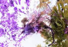 Calendario Pirelli 2026, tra natura e tecnologia sfida l’ageismo Calendario Pirelli 2026, tra natura e tecnologia sfida l'ageismo