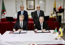 Cezayir'e 500.000 Pirelli marka lastik
