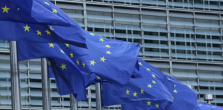 Da Ue 600 milioni per progetti carburanti green e ricarica