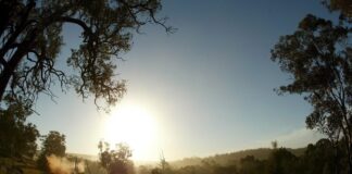 In Australia auto sfonda recinzione durante un rally, 13 feriti