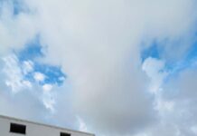 Quattro nuovi bus elettrici Eav in servizio a Napoli Quattro nuovi bus elettrici Eav in servizio a Napoli