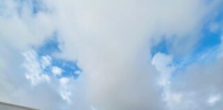 Quattro nuovi bus elettrici Eav in servizio a Napoli Quattro nuovi bus elettrici Eav in servizio a Napoli