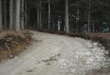 Tar, strade forestali e silvopastorali sottratte a Codice strada Tar, strade forestali e silvopastorali sottratte a Codice strada