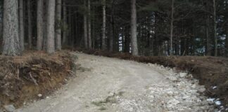 Tar, strade forestali e silvopastorali sottratte a Codice strada