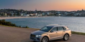 Bentley Environmental Foundation announces support for kelp forest restoration project