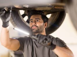 Delphi Leader in 5 Main Categories
