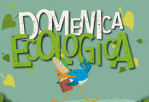Domenica ecologica, domani 7 dicembre stop al traffico privato a Roma Domenica ecologica, domani 7 dicembre stop al traffico privato a Roma