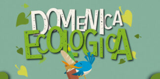 Domenica ecologica, domani 7 dicembre stop al traffico privato a Roma