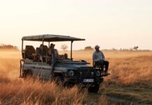 INEOS Grenadier Game Viewer, el vehículo de safari que reemplazará al Defender INEOS Grenadier Game Viewer, el vehículo de safari que reemplazará al Defender