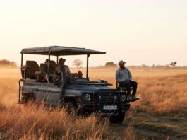 INEOS Grenadier Game Viewer, el vehículo de safari que reemplazará al Defender