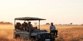 INEOS Grenadier Game Viewer, el vehículo de safari que reemplazará al Defender