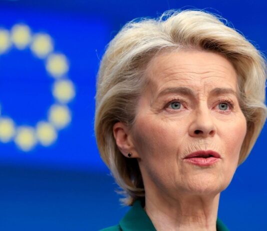 Manufacturers such as Stellantis group, BMW and Ford ready to review 2035 deadline
