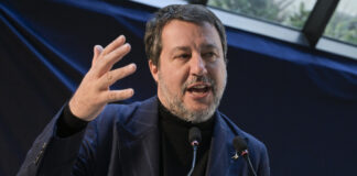 Salvini, 'serve retromarcia Ue su auto, includere biofuel'