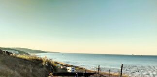 Test Drive: Alfa Romeo Junior Ibrida 1.2 Hybrid VGT 145 HP
