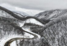 Viabilità forestale, dalla Lombardia altri 7,3 milioni di euro Viabilità forestale, dalla Lombardia altri 7,3 milioni di euro