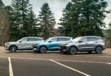 2026 could see CHERY UK race ahead in market share, 2025 analysis shows