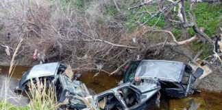 Carcasse di auto rubate e date alle fiamme nelle campagne del Foggiano