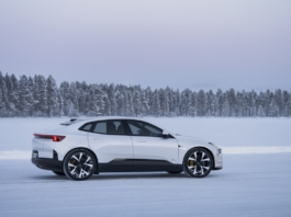 Polestar vendite