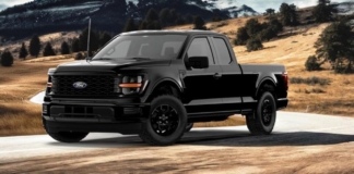 Ford's Extraordinary F-150 Series, New STX
