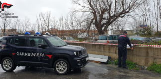I carabinieri sequestrano un 'cimitero' di auto abbandonate nel Cosentino