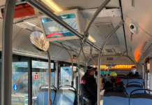 Trieste Trasporti, 50% flotta sostituito con bus ecologici entro 2030 Trieste Trasporti, 50% flotta sostituito con bus ecologici entro 2030