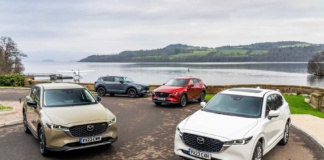 O coches muy nuevos o coches muy viejos, el mercado de ocasión está loco: El 40% de las ventas son coches de más de 15 años