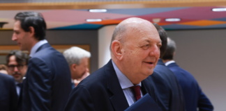 Pichetto all'Ue, 'pronti a sviluppo di nuovi motori e carburanti neutri'