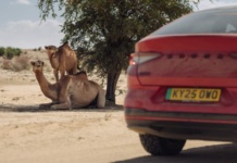 To the Great Rift Valley in northern Kenya in the Skoda Enyaq Coupé vRS To the Great Rift Valley in northern Kenya in the Skoda Enyaq Coupé vRS