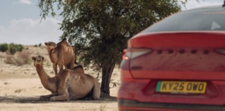 To the Great Rift Valley in northern Kenya in the Skoda Enyaq Coupé vRS