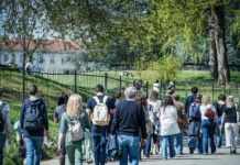 Torino, riqualificazione del parco del Valentino, si amplia l'area in Ztl