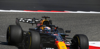 Verstappen (Red Bull)